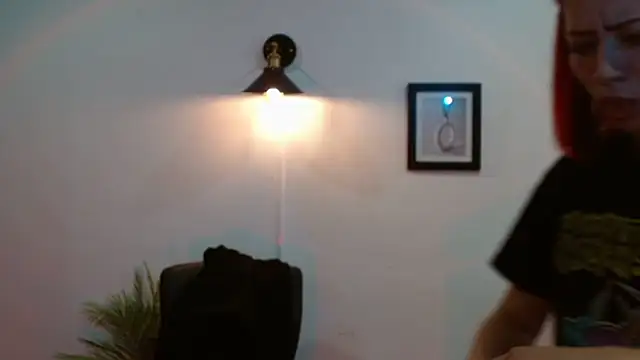Evanss_lx webcam