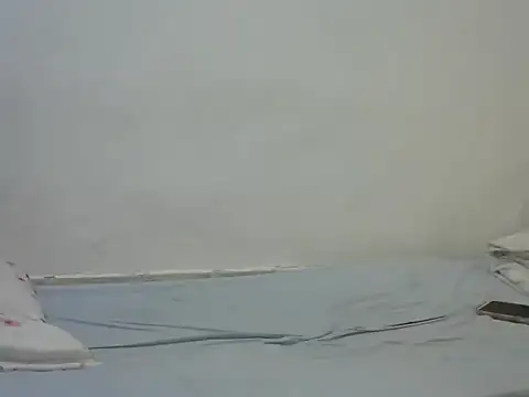 Curvy_lizy webcam