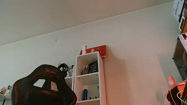 SmokyDee webcam