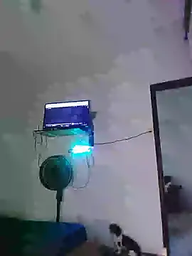 Gasc_1992 webcam