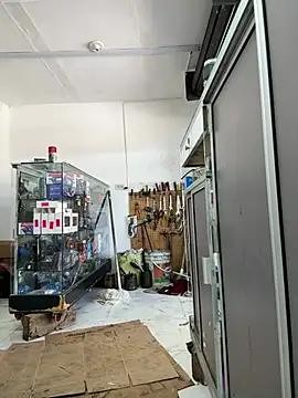 Paul22cm- webcam