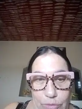 catdool webcam
