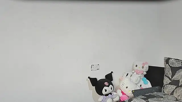 Eirlysx webcam