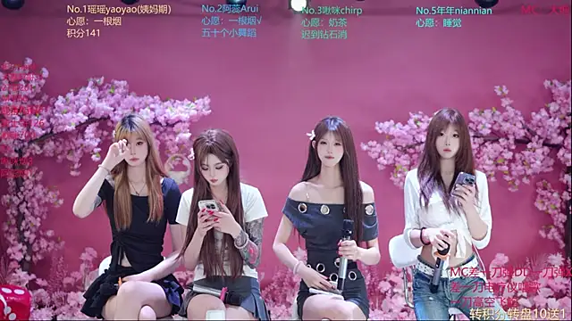SK-121 webcam