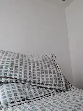 Tiger_cryad webcam