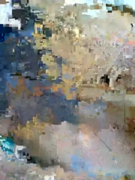 Philebranleur webcam