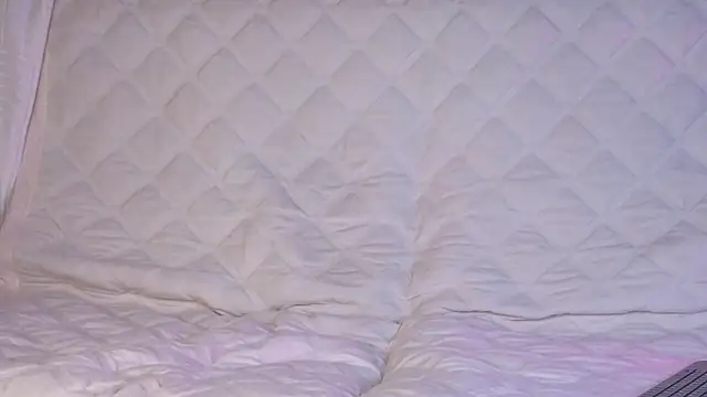 Ellijoys webcam