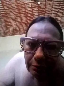 catdool webcam