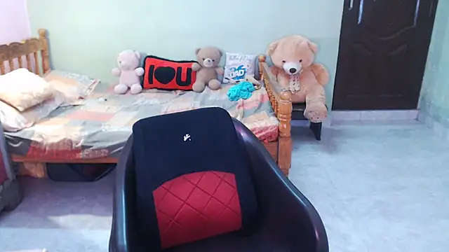 Novapol11 webcam