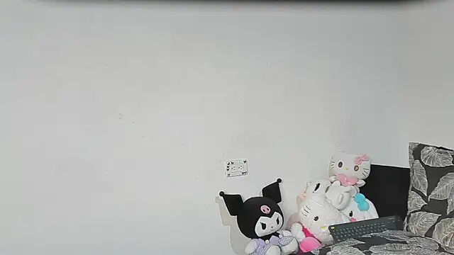 Eirlysx webcam
