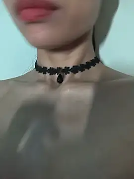 Pu688 webcam