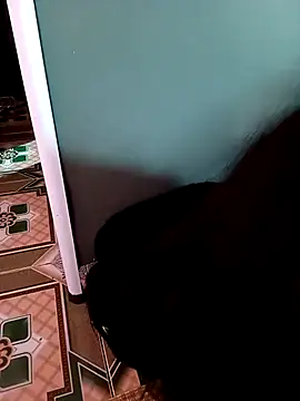 Nul_chal webcam