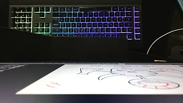 Yoloyo93 webcam