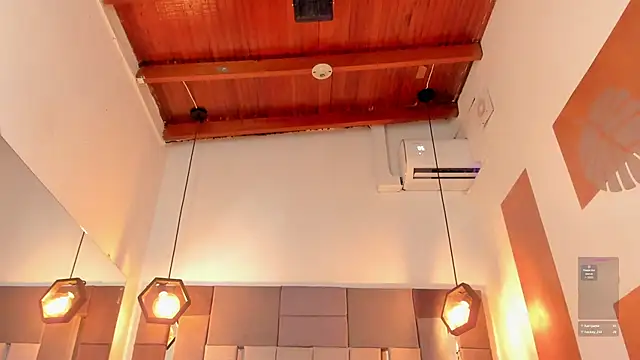 FreyrStone webcam