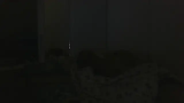 vitalik66679 webcam