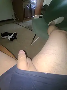 Nes---77 webcam