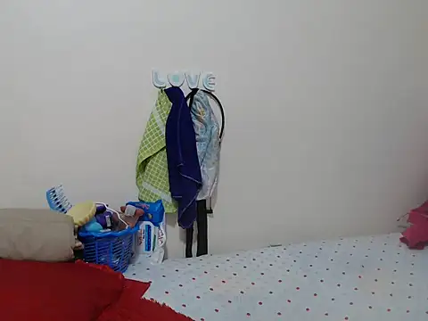 pinnacle_ webcam