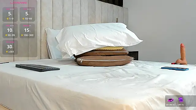 HalleyDream webcam