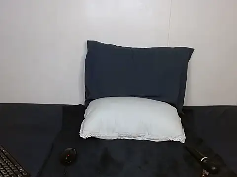 ReloadingX webcam