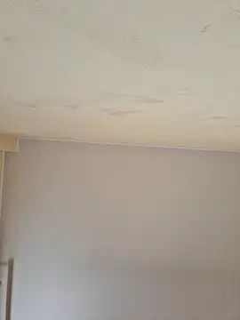 shouko16 webcam