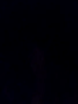 cheese254 webcam