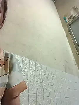 Sana-vn webcam