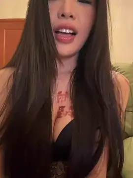 yy22111 webcam