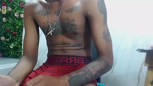 ManSant webcam