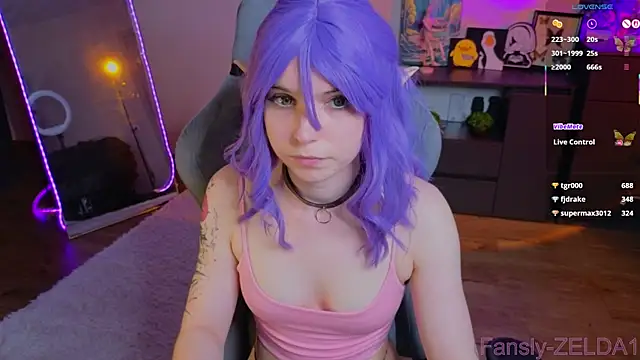 zelda_1 webcam