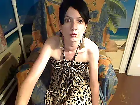 Bastet12 webcam