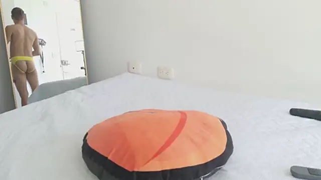 grey___27 webcam