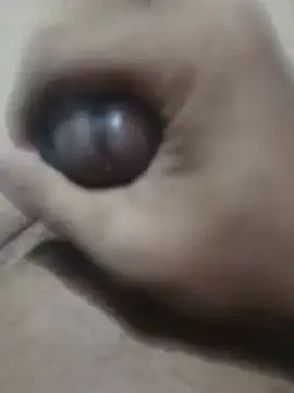 TropicalInsomnia