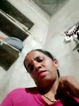 Anitarakkoli webcam