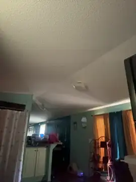 lolabunny9