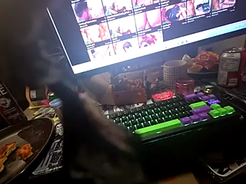 piggylatino