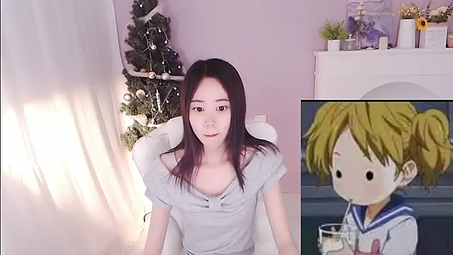 hall-33 webcam