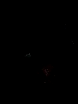 nitinxxw webcam