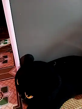 nul_chal (F young) - #anal #anal-arab #anal-young #arab #arab-young #big-ass #big-ass-anal #big-ass-arab #big-ass-young #black-hair #black-hair-young #cheapest-privates #cheapest-privates-arab #cheapest-privates-young #corset #cowgirl #dildo-or-vibrator #dildo-or-vibrator-anal #dildo-or-vibrator-young #flashing #gagging #glamour #glory-hole #hd #humiliation #jerk-off-instruction #latex #medium #mobile #mobile-young #pussy-licking #recordable-publics #vietnamese #young