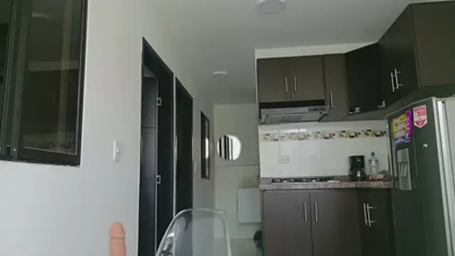 grey___27 webcam