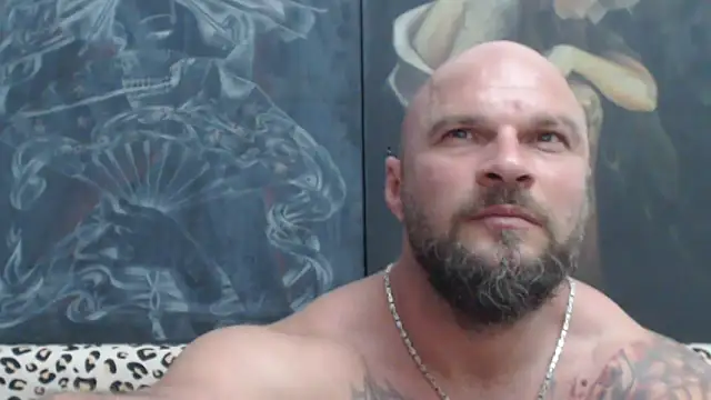 viking_30 webcam