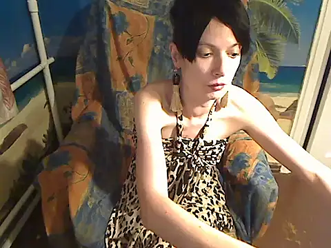 Bastet12 webcam