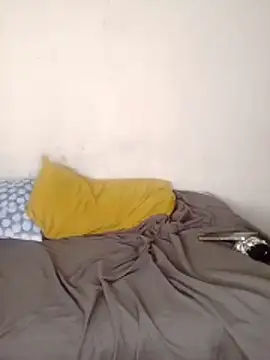 Teeangelaa webcam