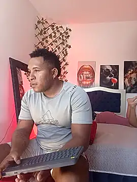 ARTHUR_MINI webcam