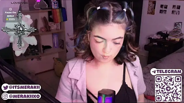 meraki_fraise webcam