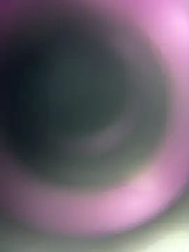 GoldenHoney webcam