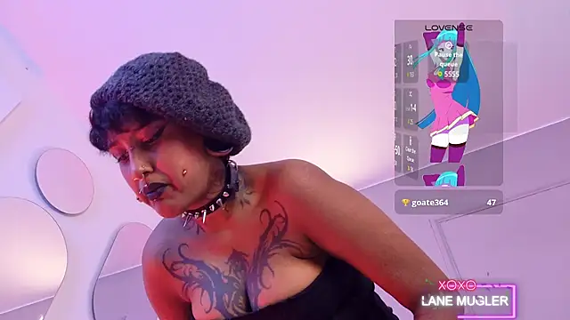 lanemugler webcam