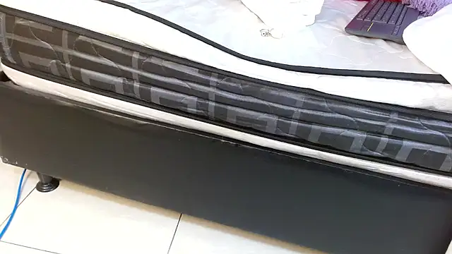 Sofia_DirtyAnal webcam