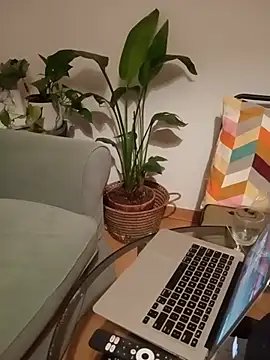 boyrolo24 webcam