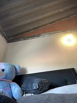 AliceSL webcam