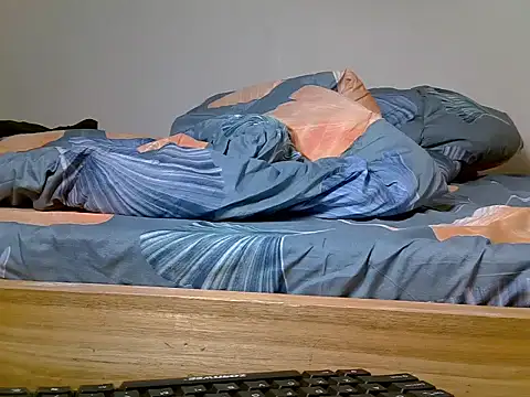 zelyp webcam